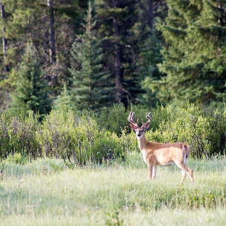 Rock Lake Lodge Rock Lake Lodge Provincial Park المظهر الخارجي الصورة