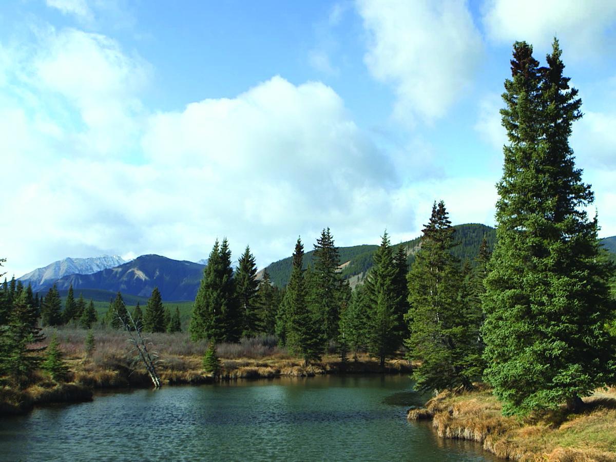 Rock Lake Lodge Rock Lake Lodge Provincial Park المظهر الخارجي الصورة