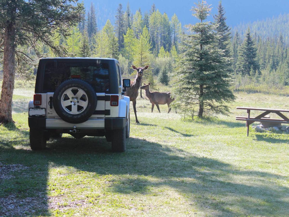 Rock Lake Lodge Rock Lake Lodge Provincial Park المظهر الخارجي الصورة