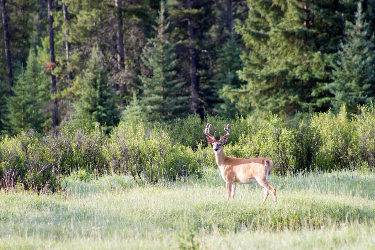 Rock Lake Lodge Rock Lake Lodge Provincial Park المظهر الخارجي الصورة